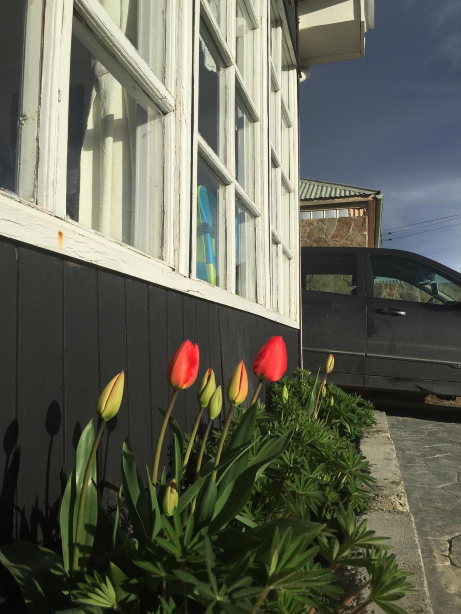 Bed and Breakfast Big Bang Patagonia Puerto Natales Exterior foto